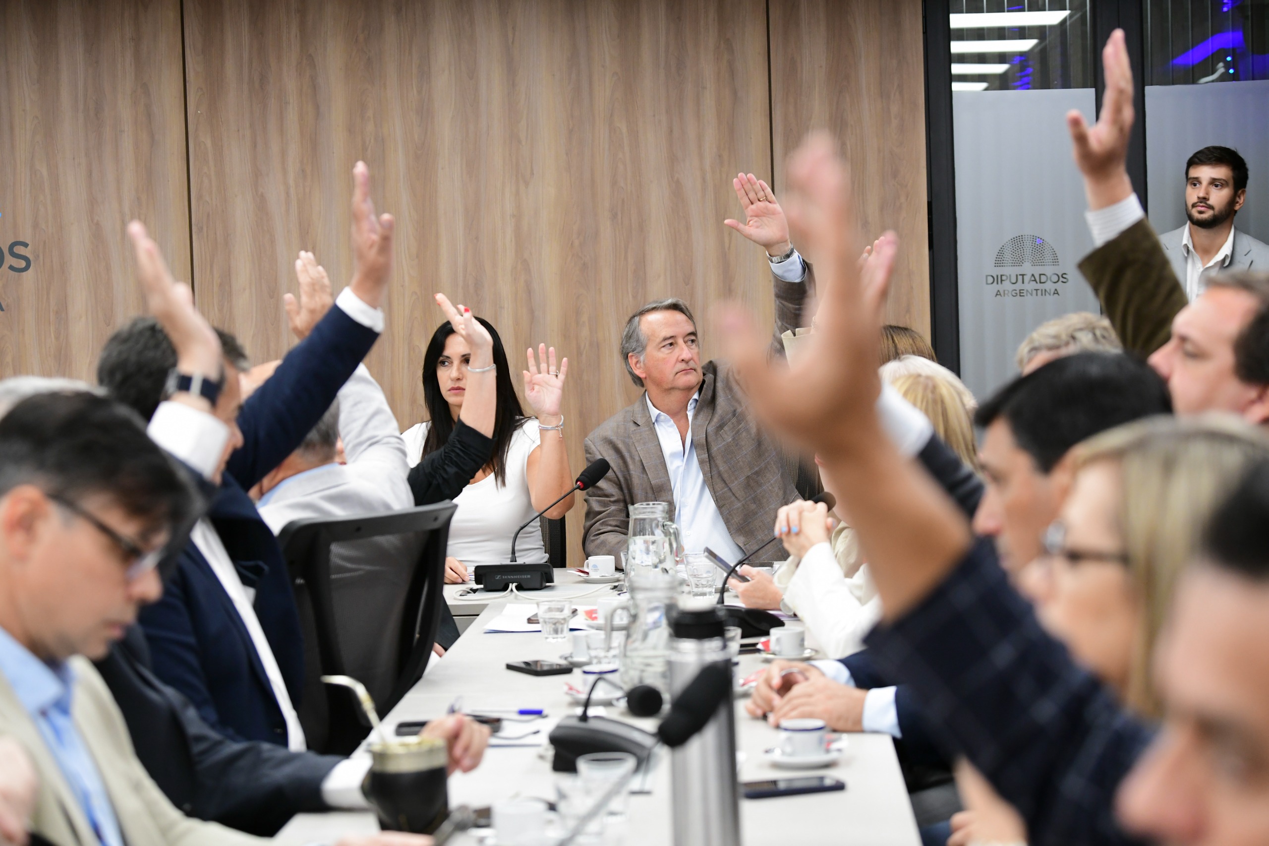 DIPUTADOS CONTINÚA CON LA CONFORMACIÓN DE LAS COMISIONES 