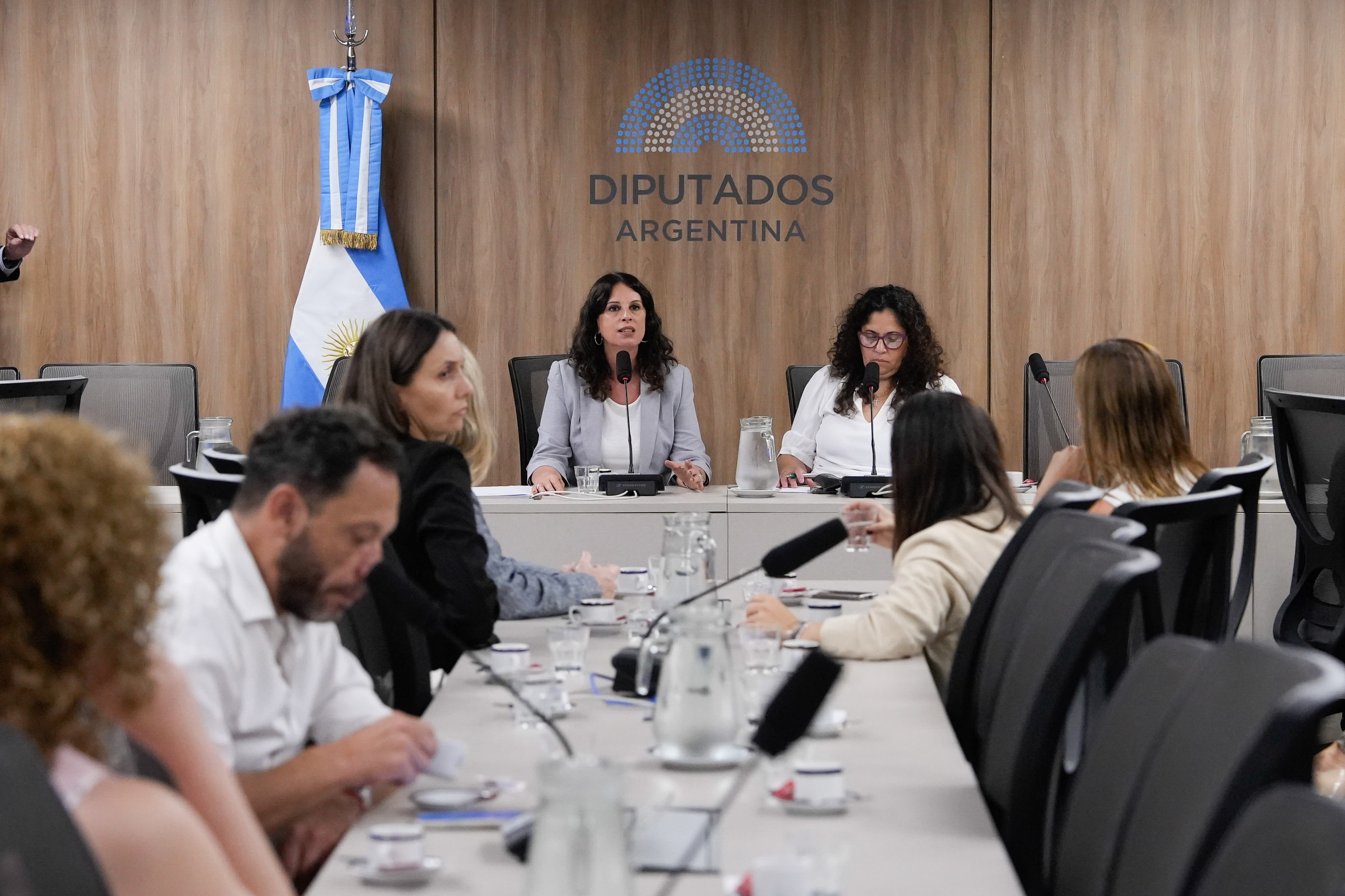 SIETE COMISIONES DE LA CÁMARA DE DIPUTADOS ELIGEN SUS AUTORIDADES