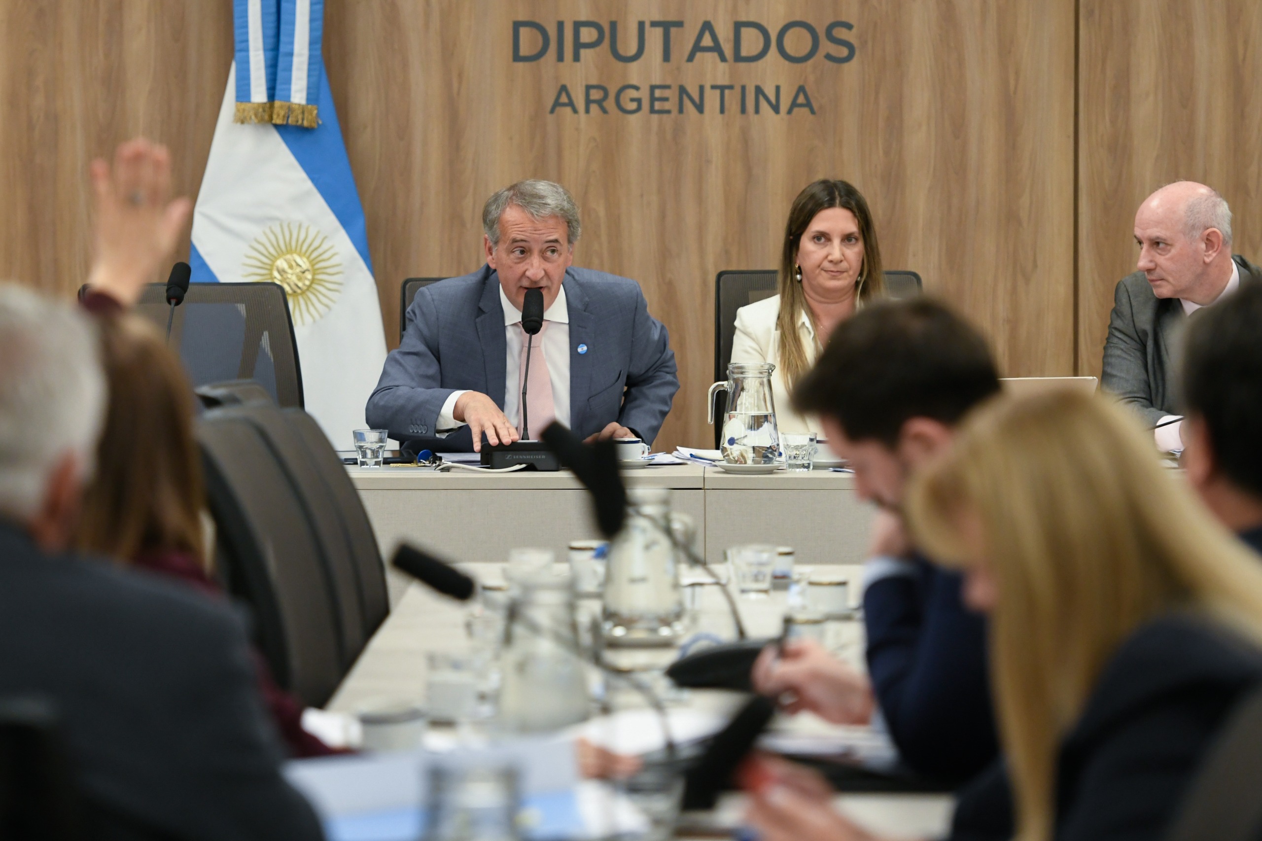 TRAS EL EMPLAZAMIENTO, PLENARIO COMENZÓ EL DEBATE PARA MODIFICAR EL RÉGIMEN LEGAL DE LOS DNU