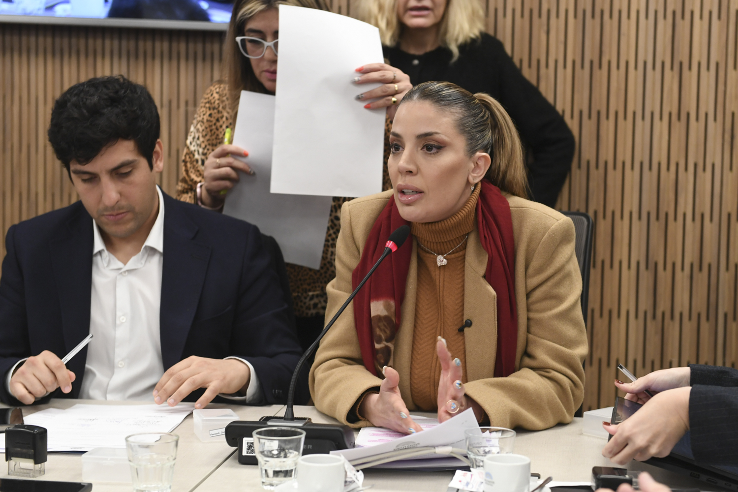 LEGISLACIÓN GENERAL AVALÓ UNA SERIE DE PROYECTOS PARA DECLARAR CAPITALES NACIONALES A PROVINCIAS ARGENTINAS