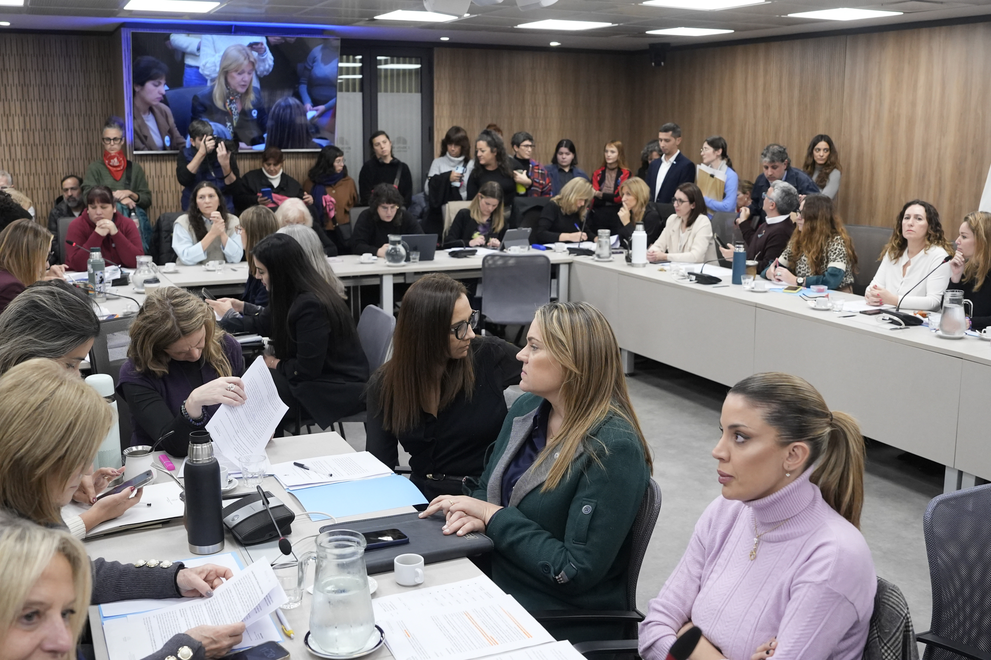 DICTAMEN DE MAYORÍA PARA DECLARAR LA EMERGENCIA NACIONAL DE VIOLENCIA DE GÉNERO CONTRA LAS MUJERES Y DIVERSIDADES