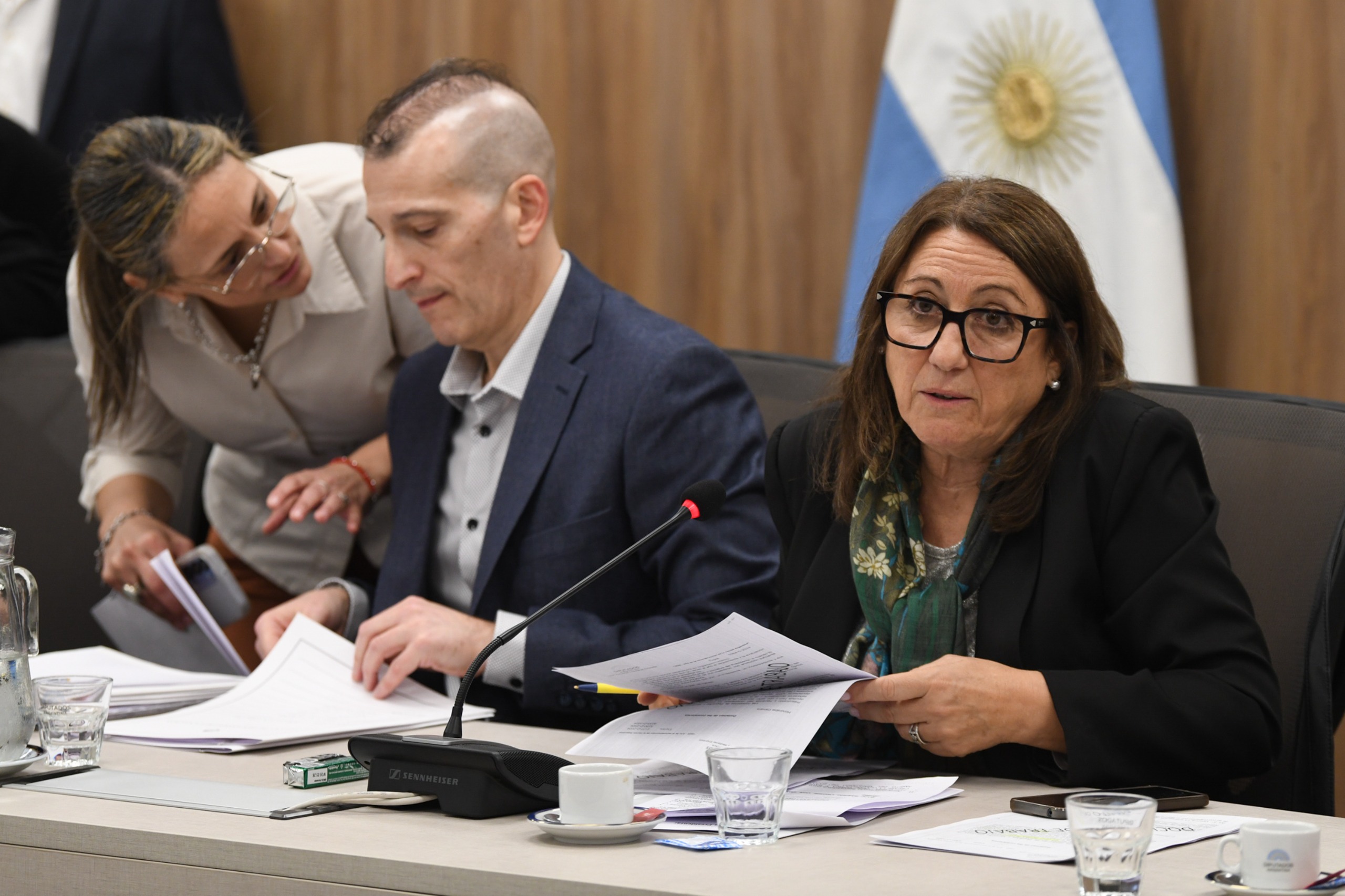 DICTAMEN DE MAYORÍA AL PROYECTO DE LEY QUE DECLARA LA EMERGENCIA DE LAS MIPYMES EN ARGENTINA