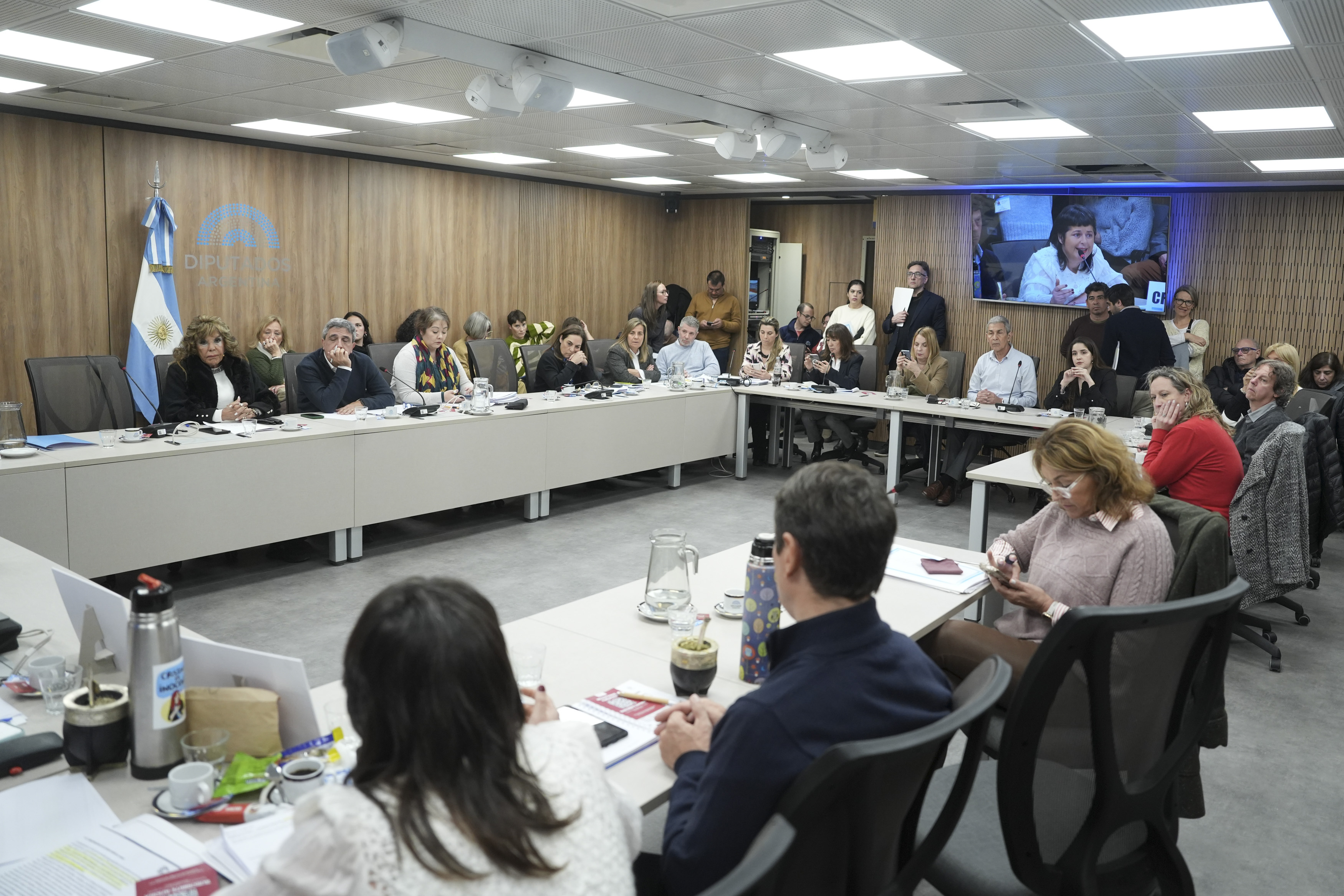 CON INVITADOS, SE ABORDÓ EN COMISIÓN LA PROBLEMÁTICA DE LA SALUD MENTAL