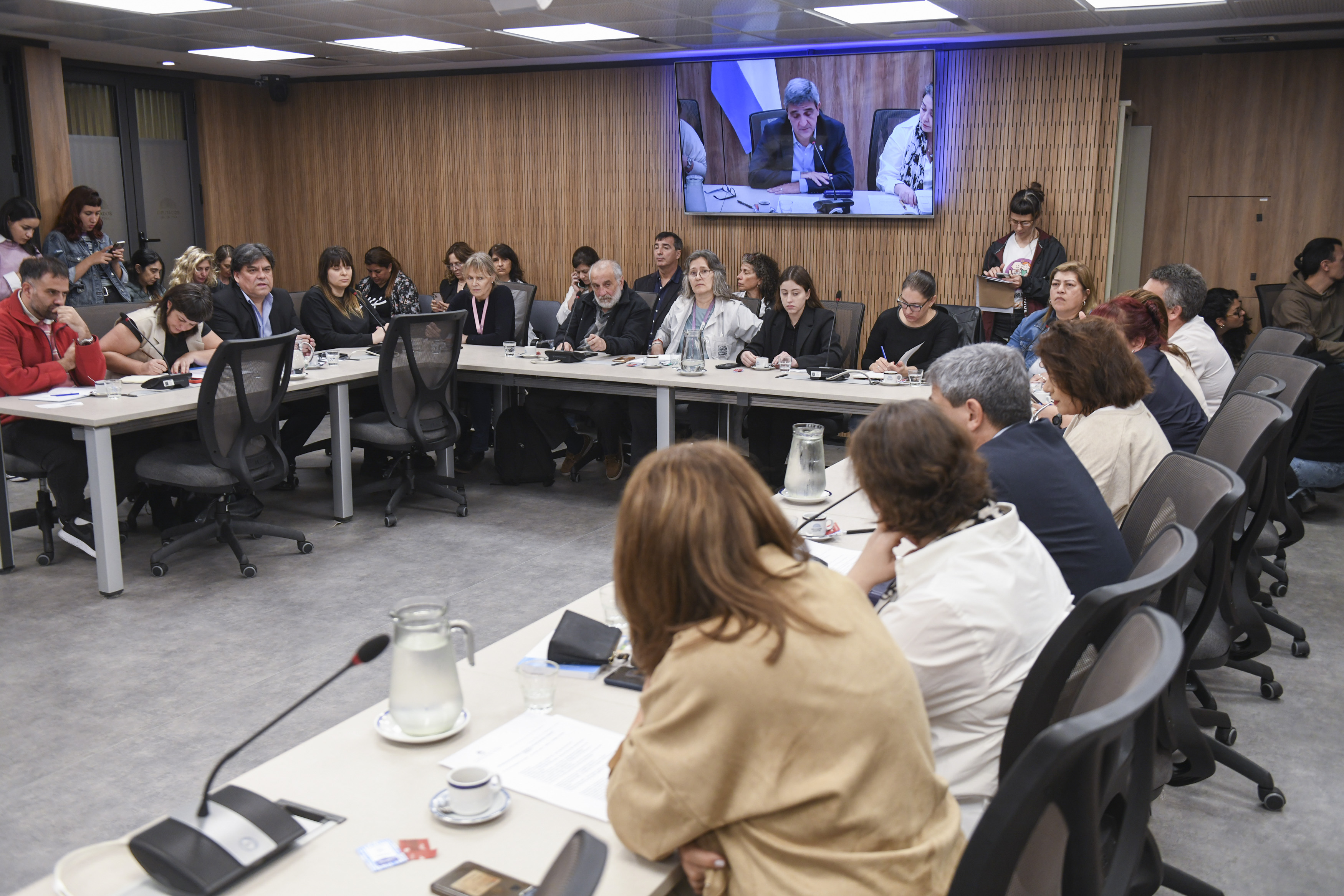 REUNIÓN INFORMATIVA SOBRE “EMERGENCIA SANITARIA DE LA SALUD PEDIÁTRICA Y DE LAS RESIDENCIAS NACIONALES EN SALUD”