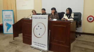 Diputados argentinos en la Audiencia Pública sobre Derechos Humanos en Paraguay Diputados argentinos en la Audiencia Pública sobre Derechos Humanos en Paraguay