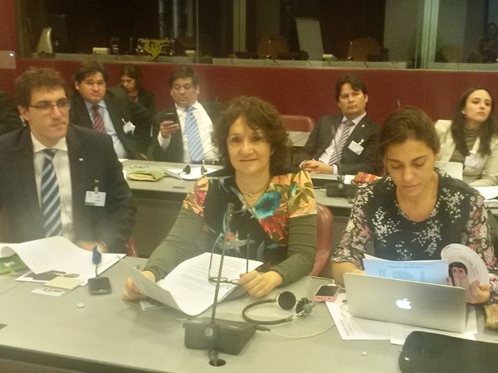 Parlamentarios del Mercosur acompañaron elecciones en Brasil Parlamentarios del Mercosur acompañaron elecciones en Brasil