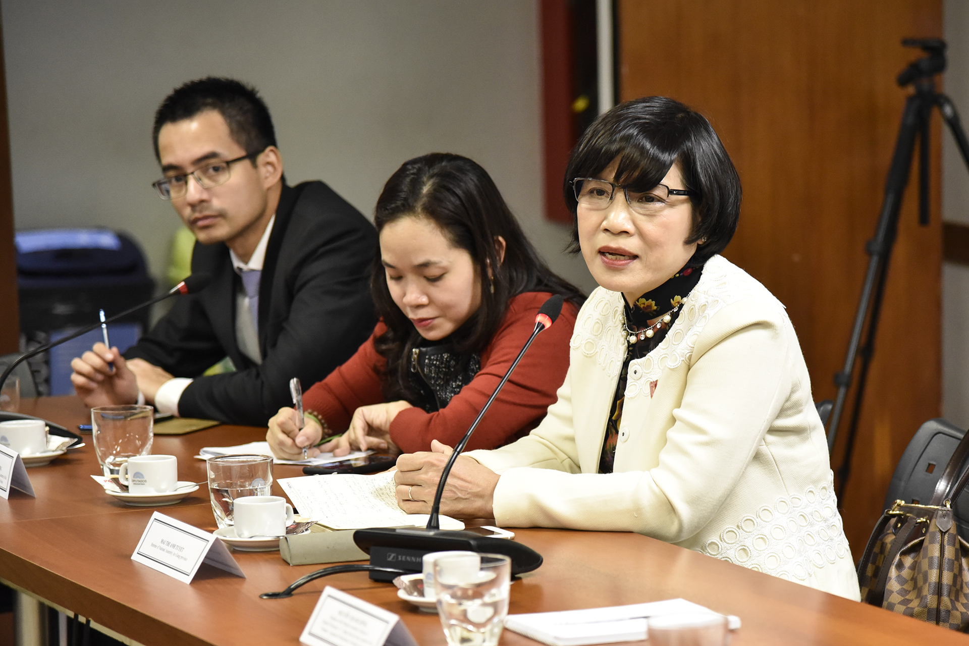 Una delegación de parlamentarios vietnamitas se reunió con sus pares argentinos Una delegación de parlamentarios vietnamitas se reunió con sus pares argentinos