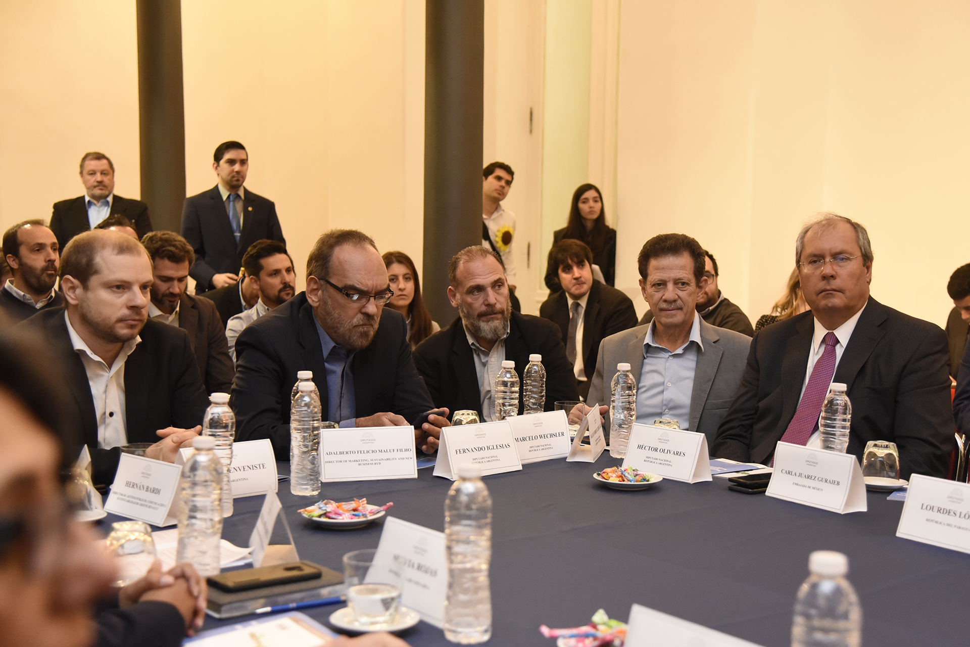 Avanza en Diputados el debate para legislar sobre movilidad eléctrica y sustentable Avanza en Diputados el debate para legislar sobre movilidad eléctrica y sustentable