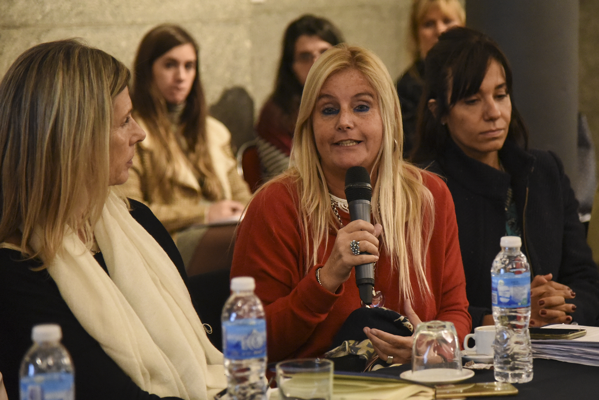 Jornada sobre Objetivos de Desarrollo Sostenible y Familia en la H. Cámara de Diputados Jornada sobre Objetivos de Desarrollo Sostenible y Familia en la H. Cámara de Diputados