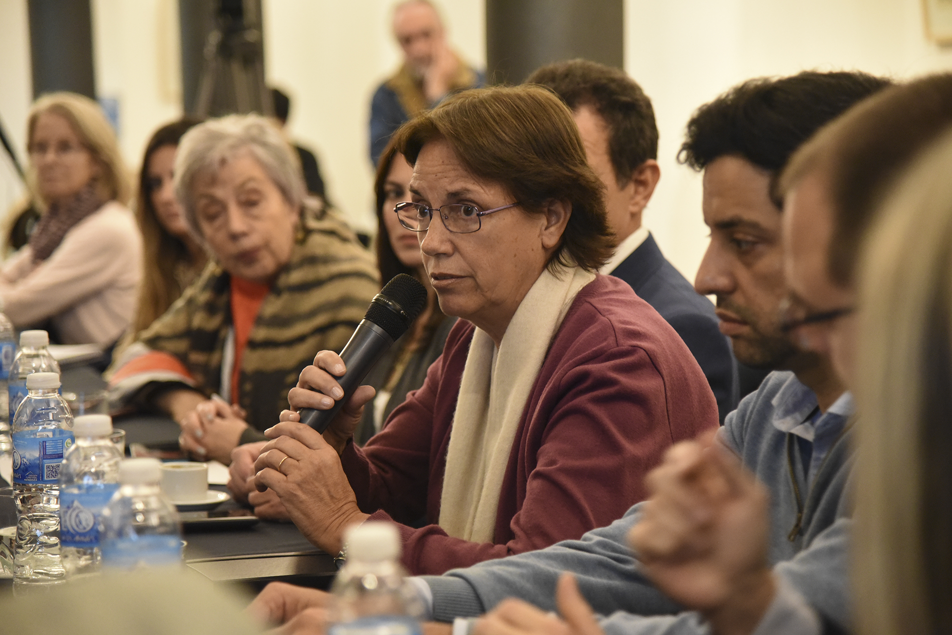 Jornada sobre Objetivos de Desarrollo Sostenible y Familia en la H. Cámara de Diputados Jornada sobre Objetivos de Desarrollo Sostenible y Familia en la H. Cámara de Diputados