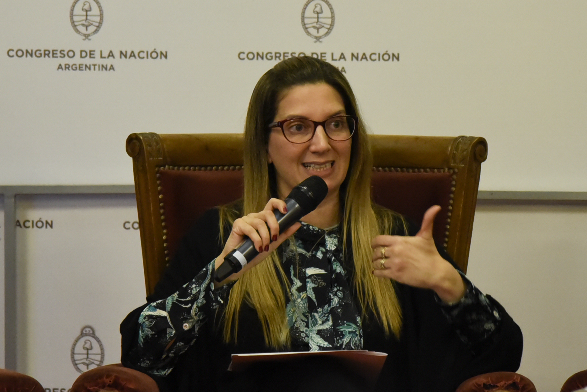 La reinserción de la Argentina en el mundo, eje de una Jornada en Diputados La reinserción de la Argentina en el mundo, eje de una Jornada en Diputados