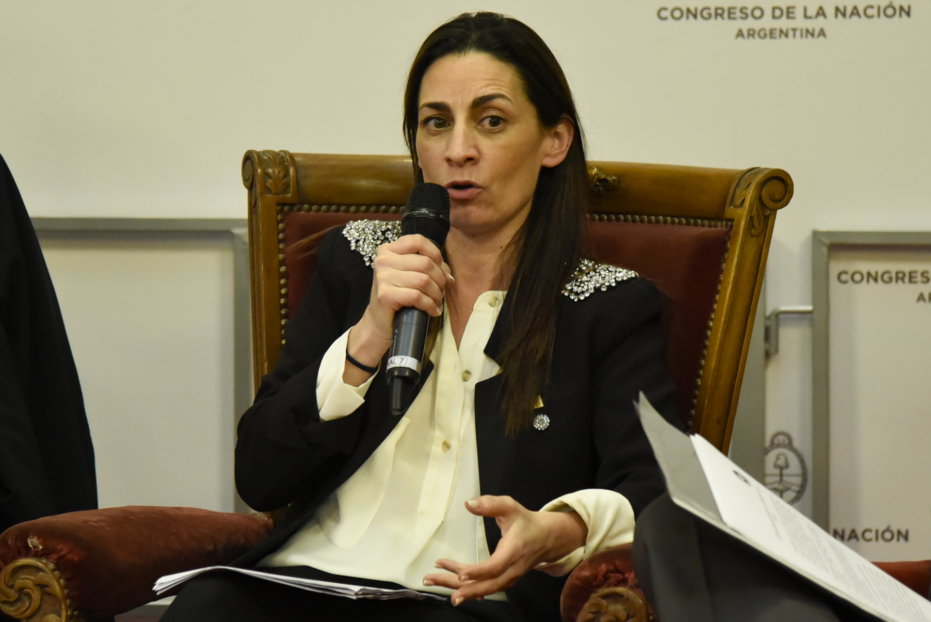 La reinserción de la Argentina en el mundo, eje de una Jornada en Diputados La reinserción de la Argentina en el mundo, eje de una Jornada en Diputados