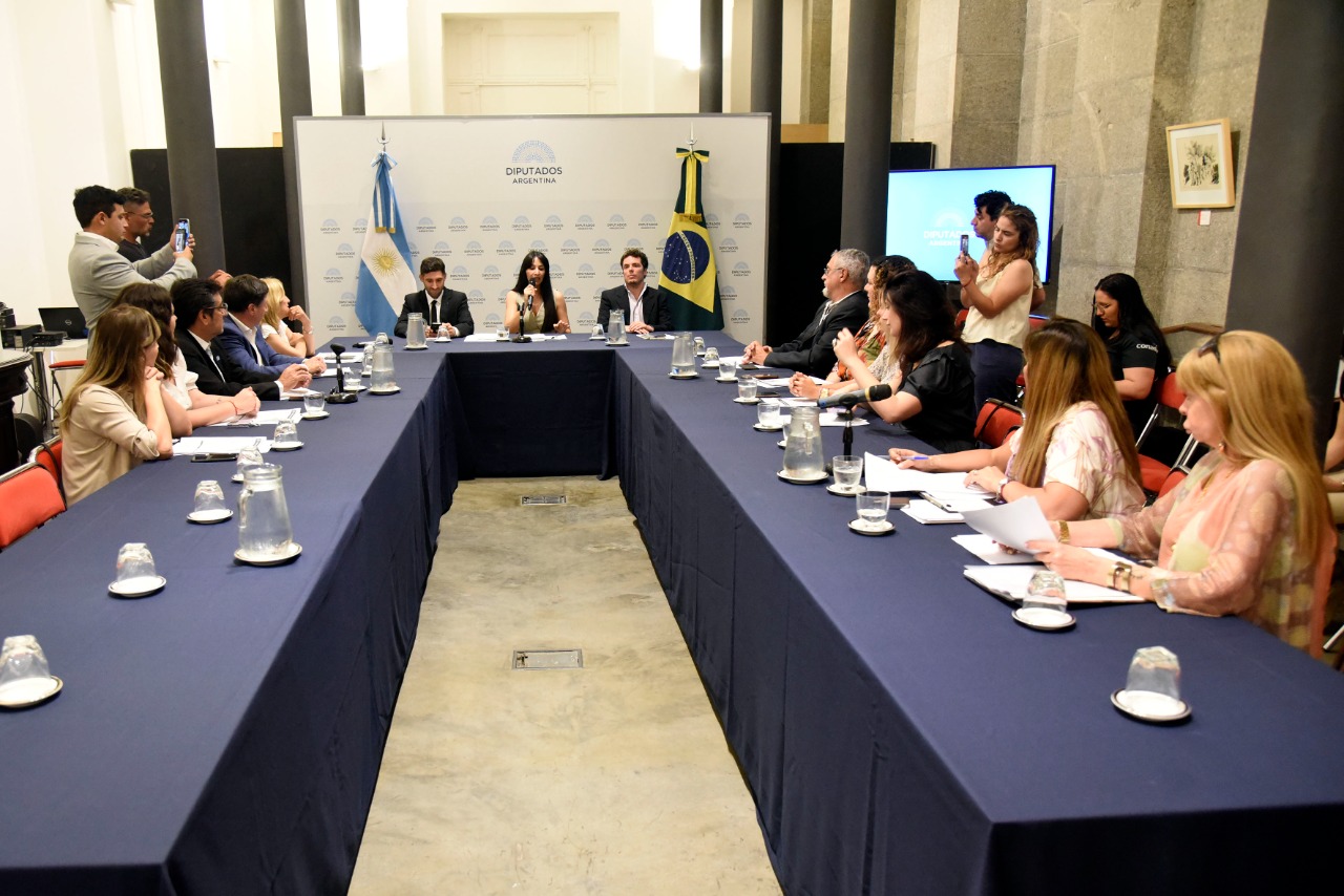 Se conformó el Grupo Parlamentario de Amistad con Brasil para promover el vínculo bilateral y la integración regional Se conformó el Grupo Parlamentario de Amistad con Brasil para promover el vínculo bilateral y la integración regional