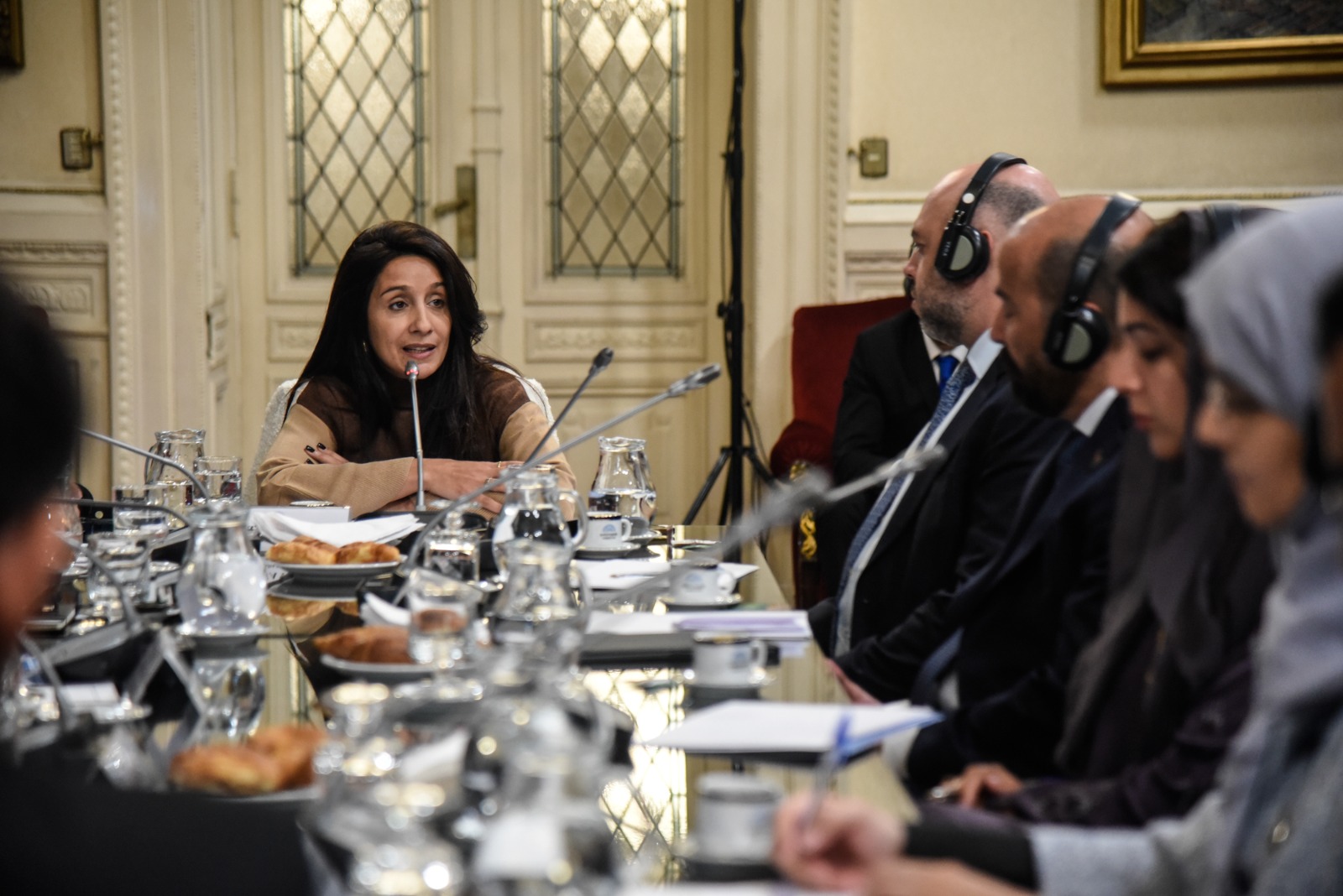 La ministra para la Cooperación Internacional de Emiratos Árabes Unidos visitó Diputados La ministra para la Cooperación Internacional de Emiratos Árabes Unidos visitó Diputados