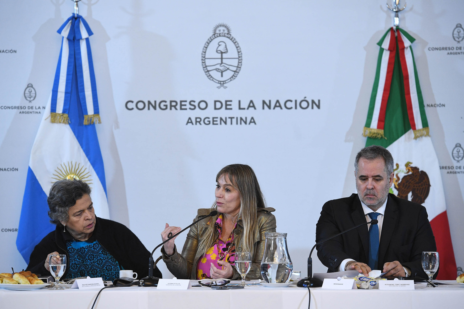 Se realizó la VI Reunión de la Comisión Interparlamentaria Argentino-Mexicana Se realizó la VI Reunión de la Comisión Interparlamentaria Argentino-Mexicana