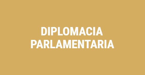 Diputados Nacionales participaron del Comité de Descolonización de Naciones Unidas Diputados Nacionales participaron del Comité de Descolonización de Naciones Unidas