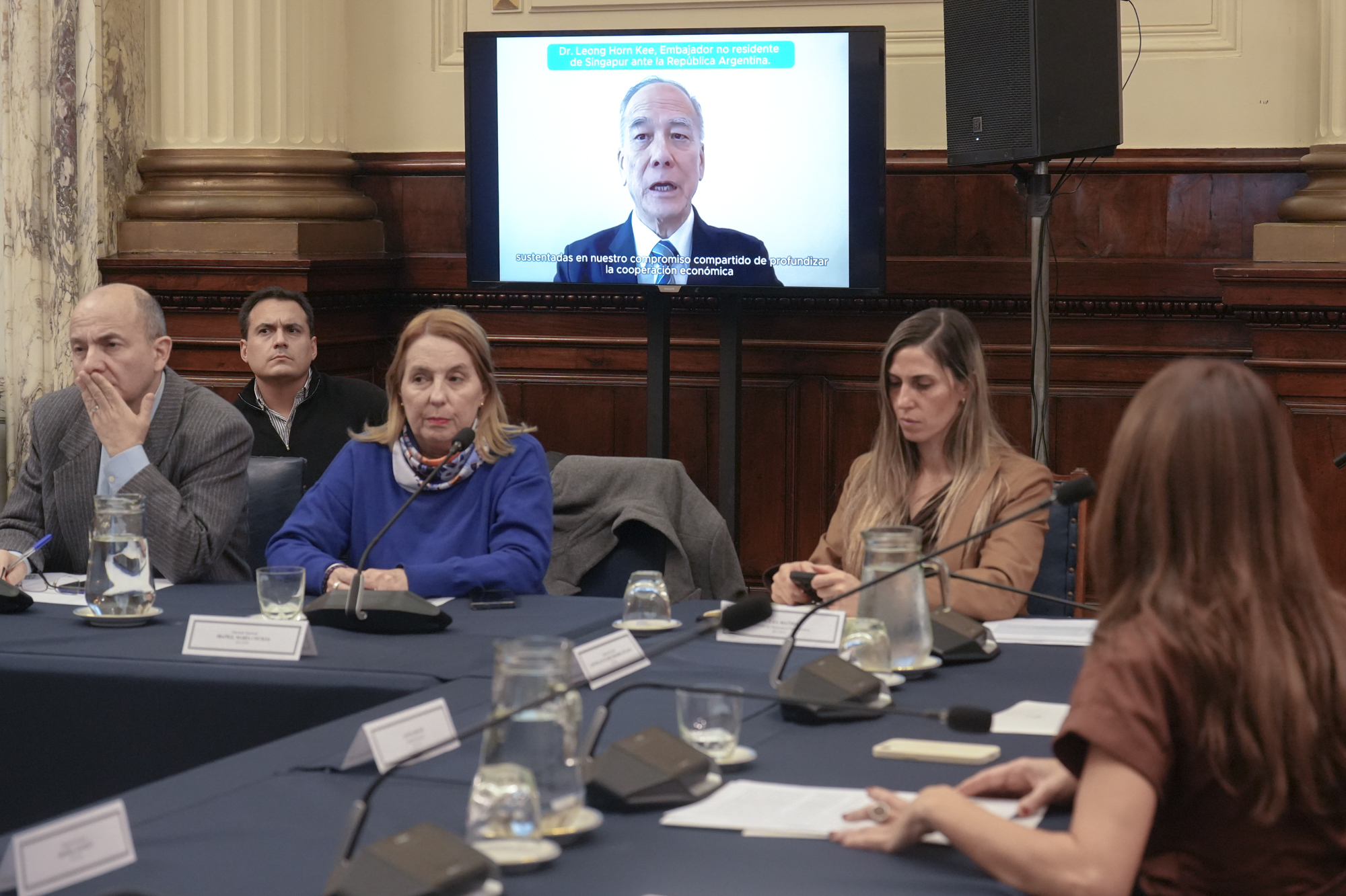 ANALIZARON EN DIPUTADOS LAS OPORTUNIDADES DEL VÍNCULO ENTRE EL MERCOSUR Y SINGAPUR