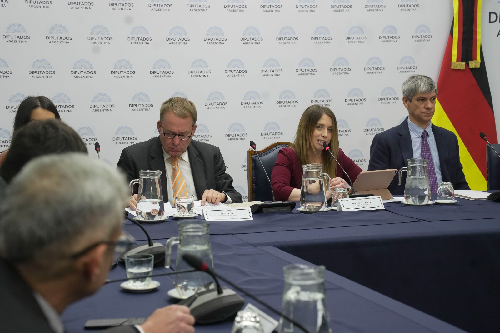 SE CONSTITUYÓ EL GRUPO PARLAMENTARIO DE AMISTAD CON ALEMANIA