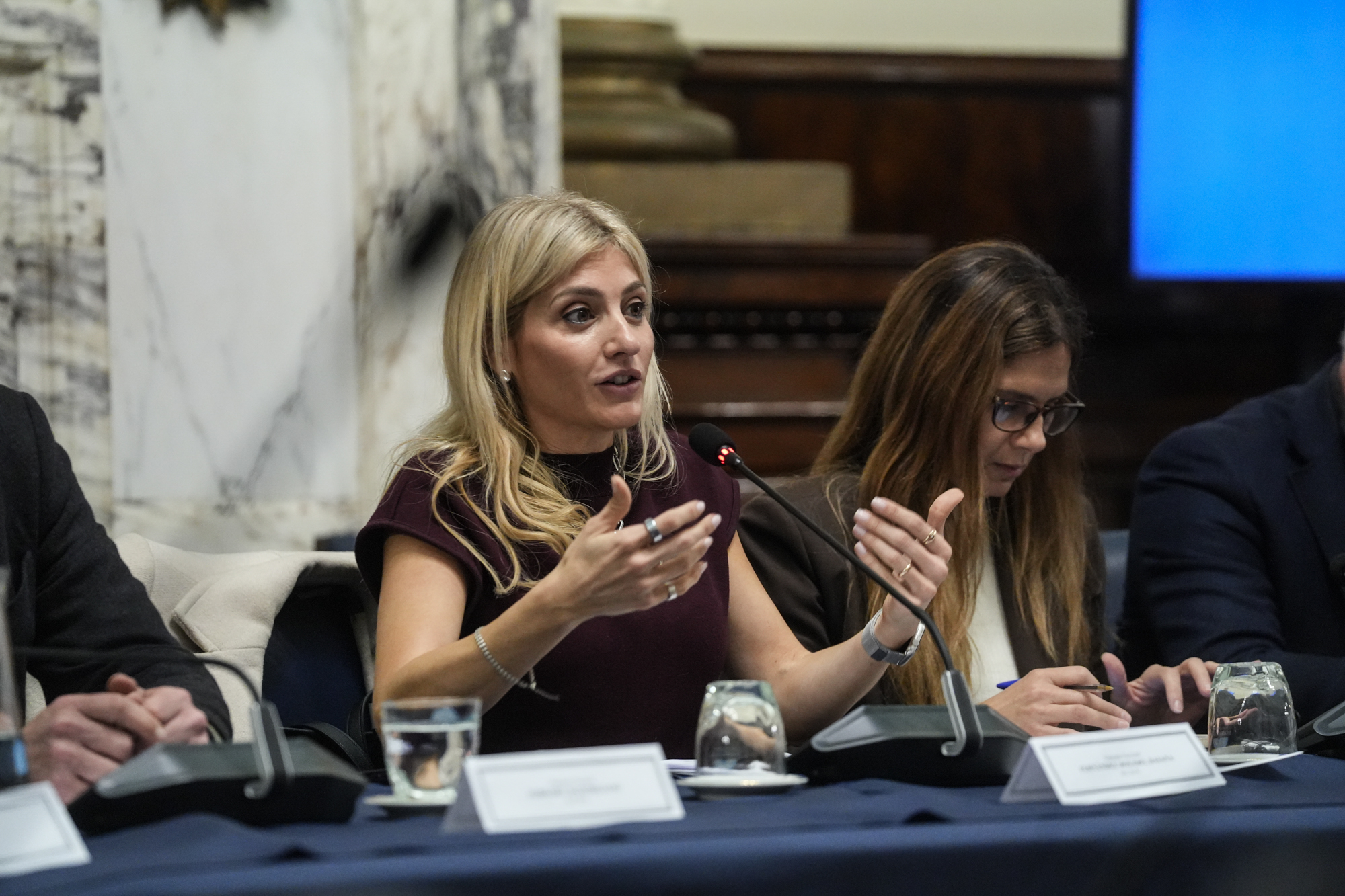 SE REUNIÓ EN DIPUTADOS EL GRUPO PARLAMENTARIO DE AMISTAD CON LA REPÚBLICA FEDERAL DE ALEMANIA