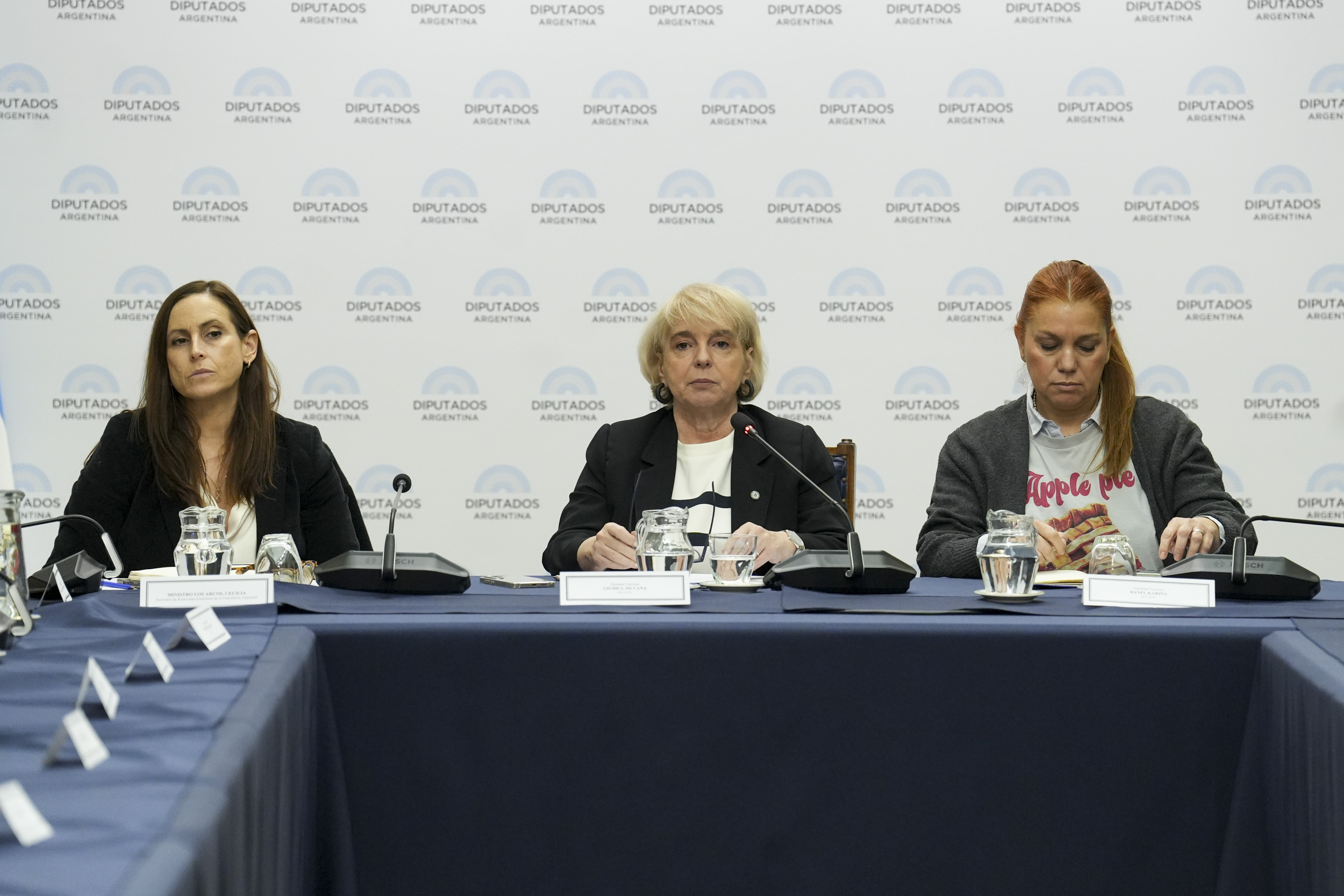 DIPUTADOS SE REUNIERON CON ASOCIACIONES CIVILES DE VENEZUELA Y ANALIZARON LOS ALCANCES DE LA AYUDA HUMANITARIA