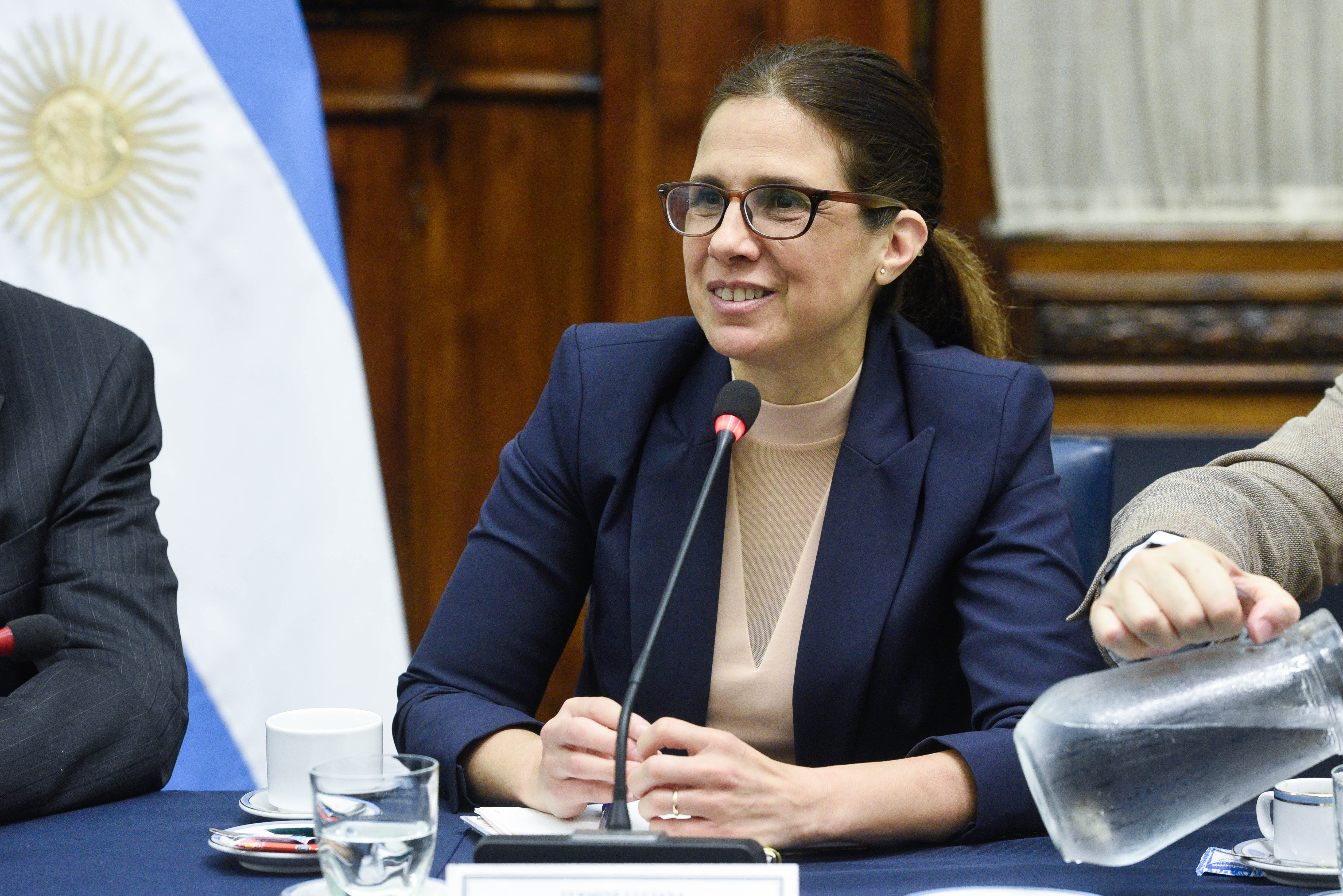 SE REUNIÓ EL GRUPO PARLAMENTARIO DE AMISTAD CON LA ORGANIZACIÓN DE LOS ESTADOS AMERICANOS SE REUNIÓ EL GRUPO PARLAMENTARIO DE AMISTAD CON LA ORGANIZACIÓN DE LOS ESTADOS AMERICANOS