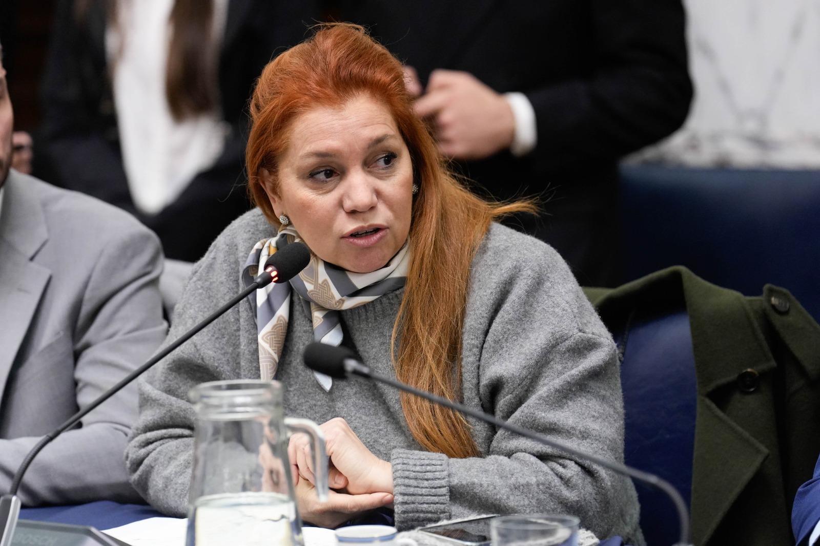 CON LA PRESENCIA DEL EMBAJADOR, SE CONSTITUYÓ EL GRUPO PARLAMENTARIO DE AMISTAD CON EL ESTADO DE ISRAEL