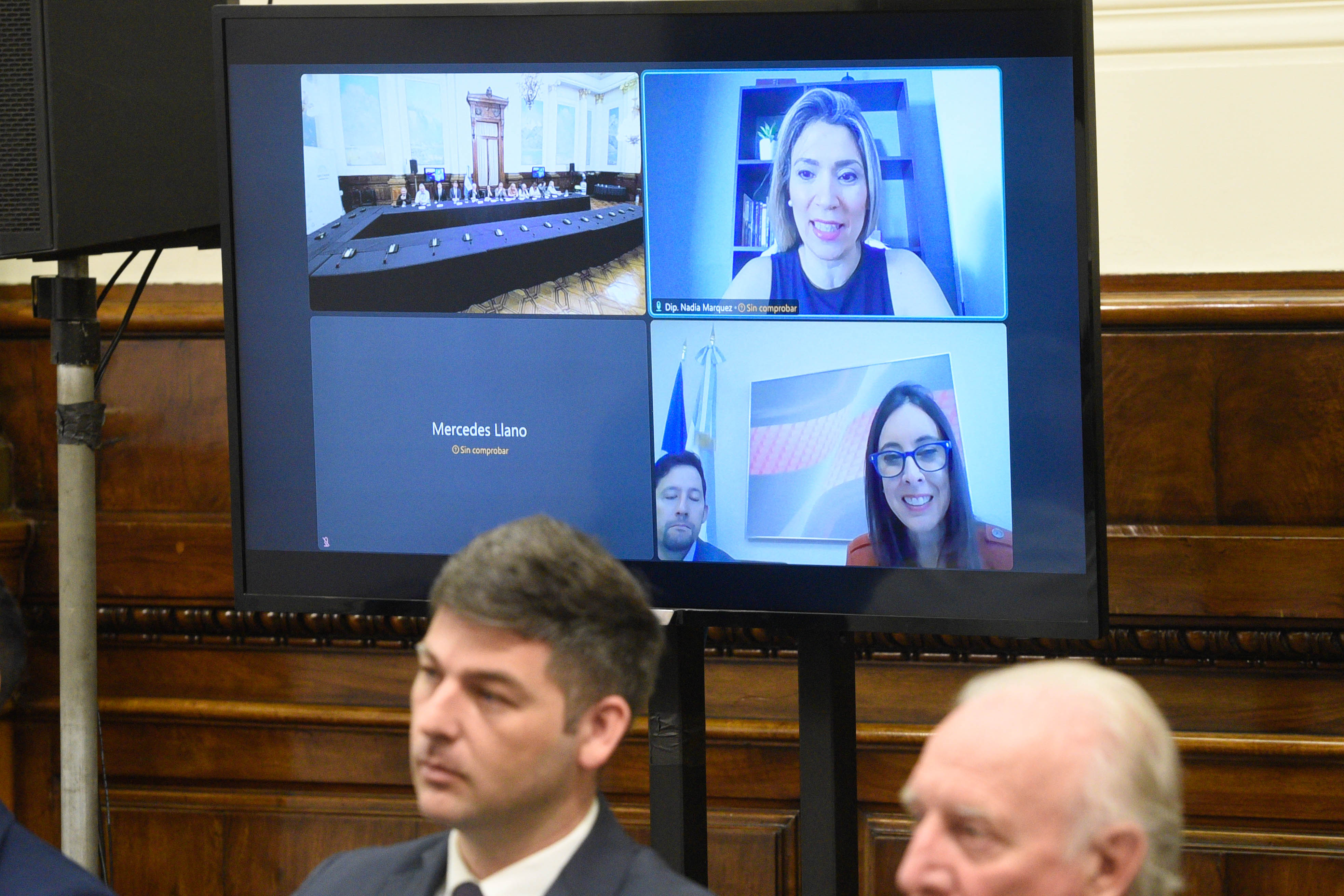 SE REUNIÓ EL GRUPO PARLAMENTARIO DE AMISTAD CON LA ORGANIZACIÓN DE LOS ESTADOS AMERICANOS SE REUNIÓ EL GRUPO PARLAMENTARIO DE AMISTAD CON LA ORGANIZACIÓN DE LOS ESTADOS AMERICANOS