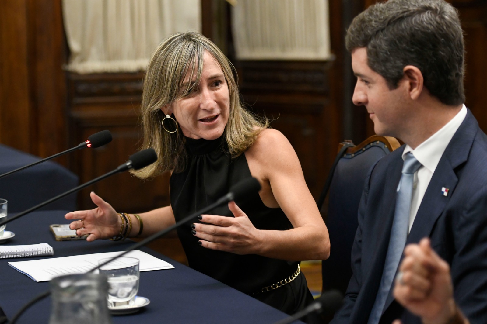 EL GRUPO PARLAMENTARIO DE AMISTAD CON PANAMÁ RECIBIÓ AL VICECANCILLER CARLOS HOYOS