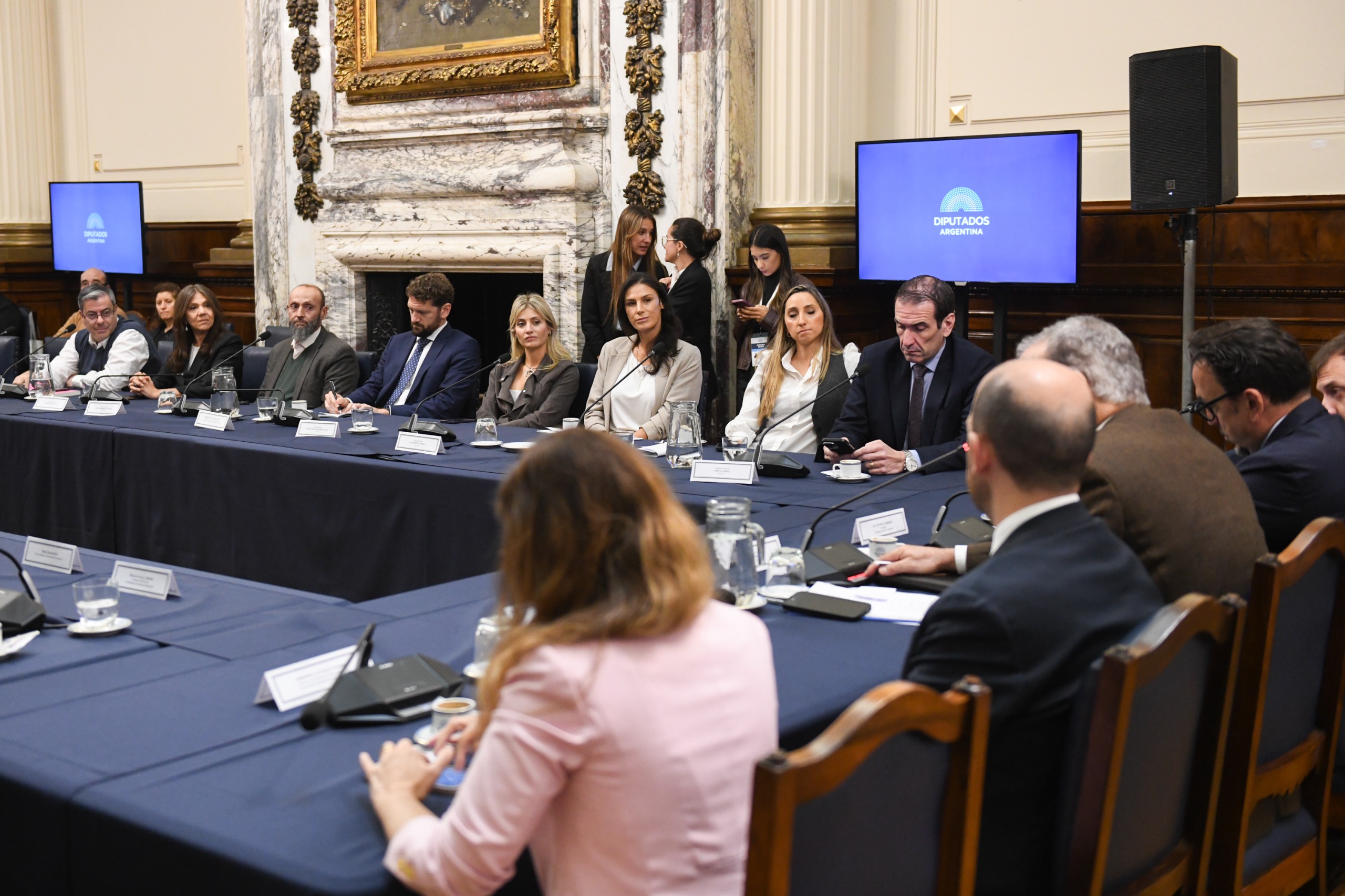 EL GRUPO PARLAMENTARIO DE AMISTAD CON LA REPÚBLICA ITALIANA DESPIDIÓ AL EMBAJADOR FABRIZIO LUCENTINI