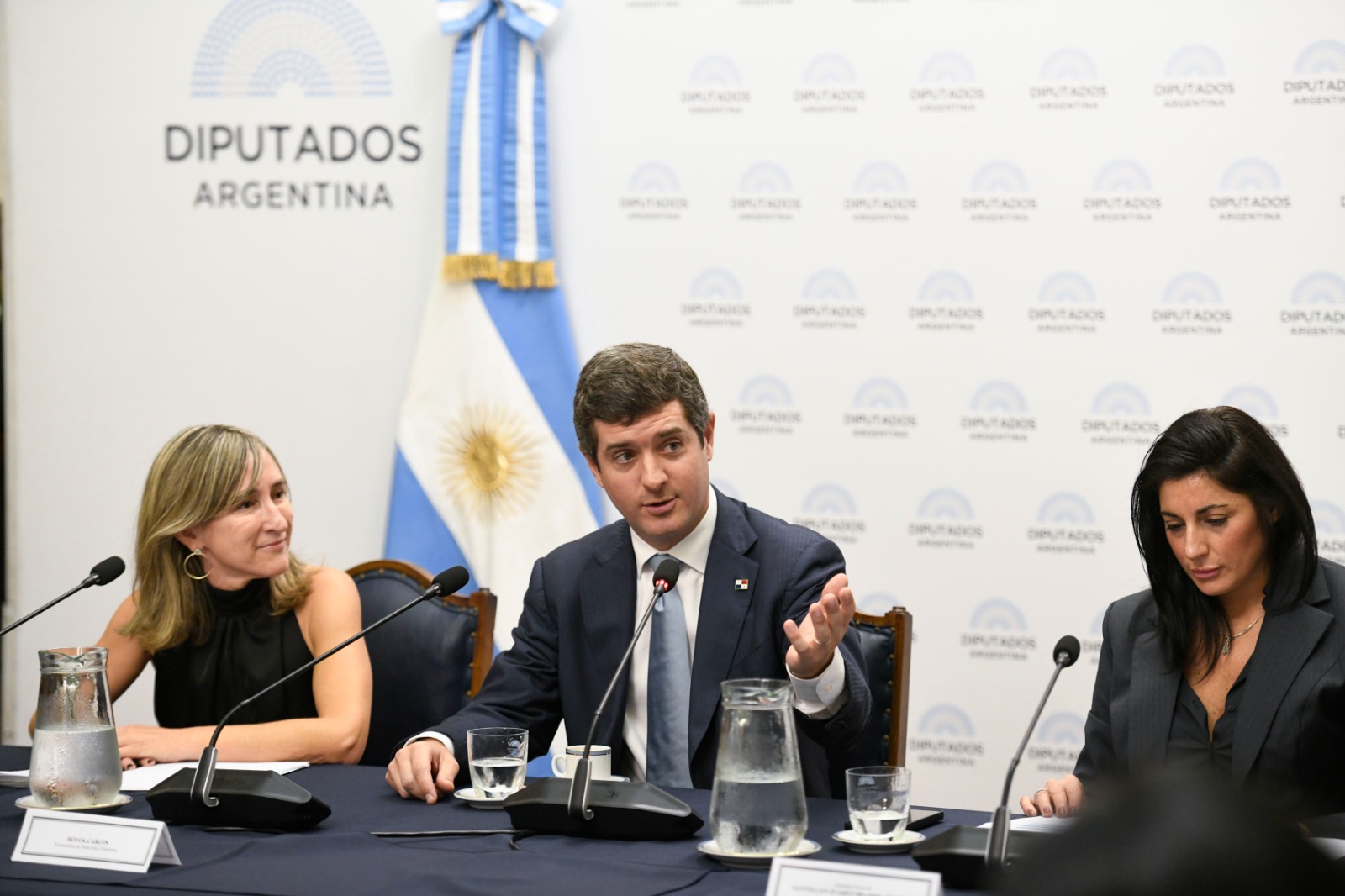 EL GRUPO PARLAMENTARIO DE AMISTAD CON PANAMÁ RECIBIÓ AL VICECANCILLER CARLOS HOYOS