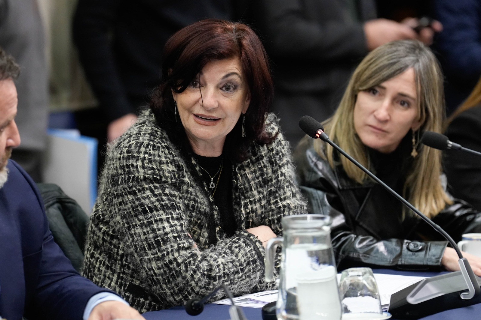 CON LA PRESENCIA DEL EMBAJADOR, SE CONSTITUYÓ EL GRUPO PARLAMENTARIO DE AMISTAD CON EL ESTADO DE ISRAEL