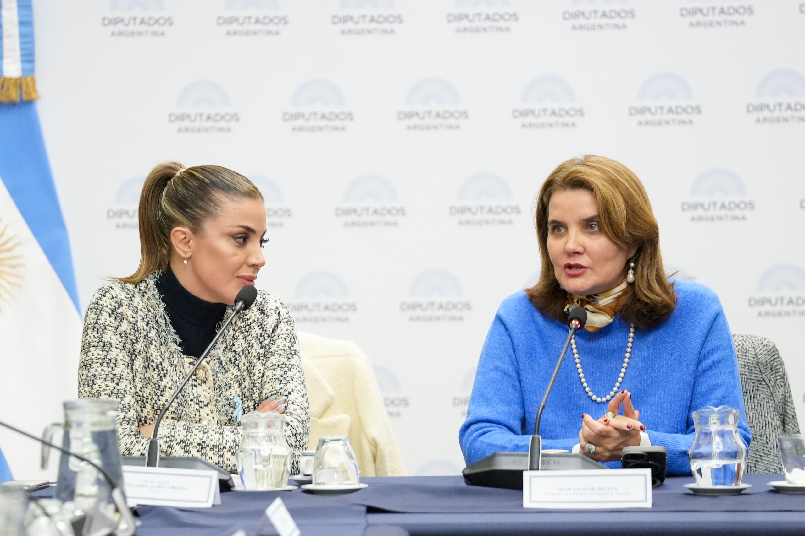 SE CONSTITUYÓ EL GRUPO PARLAMENTARIO DE AMISTAD CON PARAGUAY