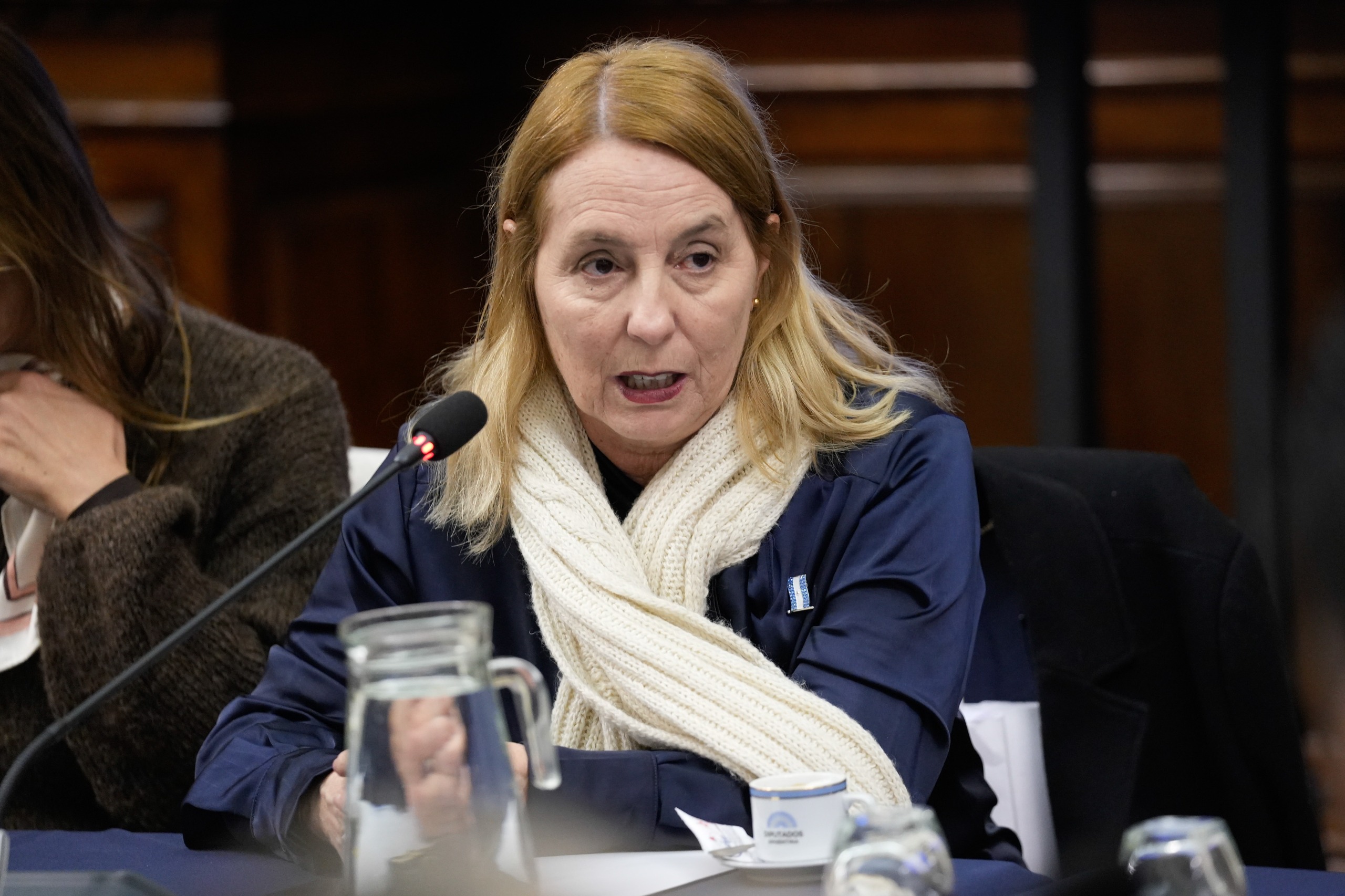 SE CONSTITUYÓ EL GRUPO PARLAMENTARIO DE AMISTAD CON PARAGUAY