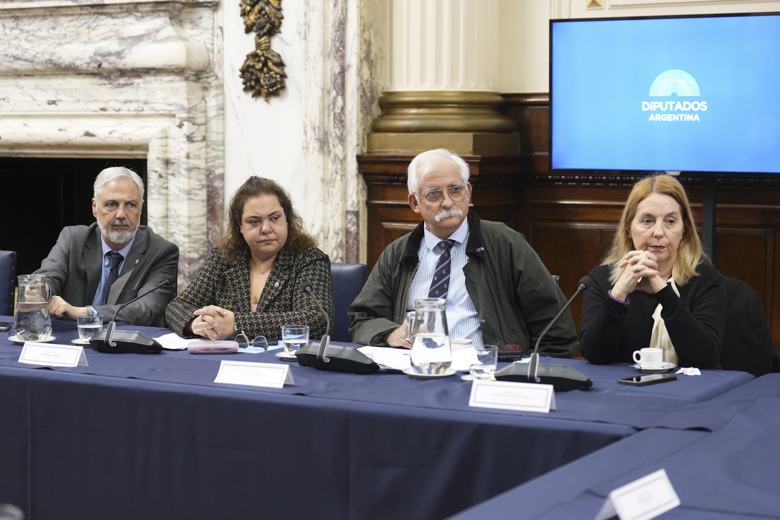 CON LA PRESENCIA DEL EMBAJADOR, SE CONSTITUYÓ EL GRUPO PARLAMENTARIO DE AMISTAD CON UCRANIA