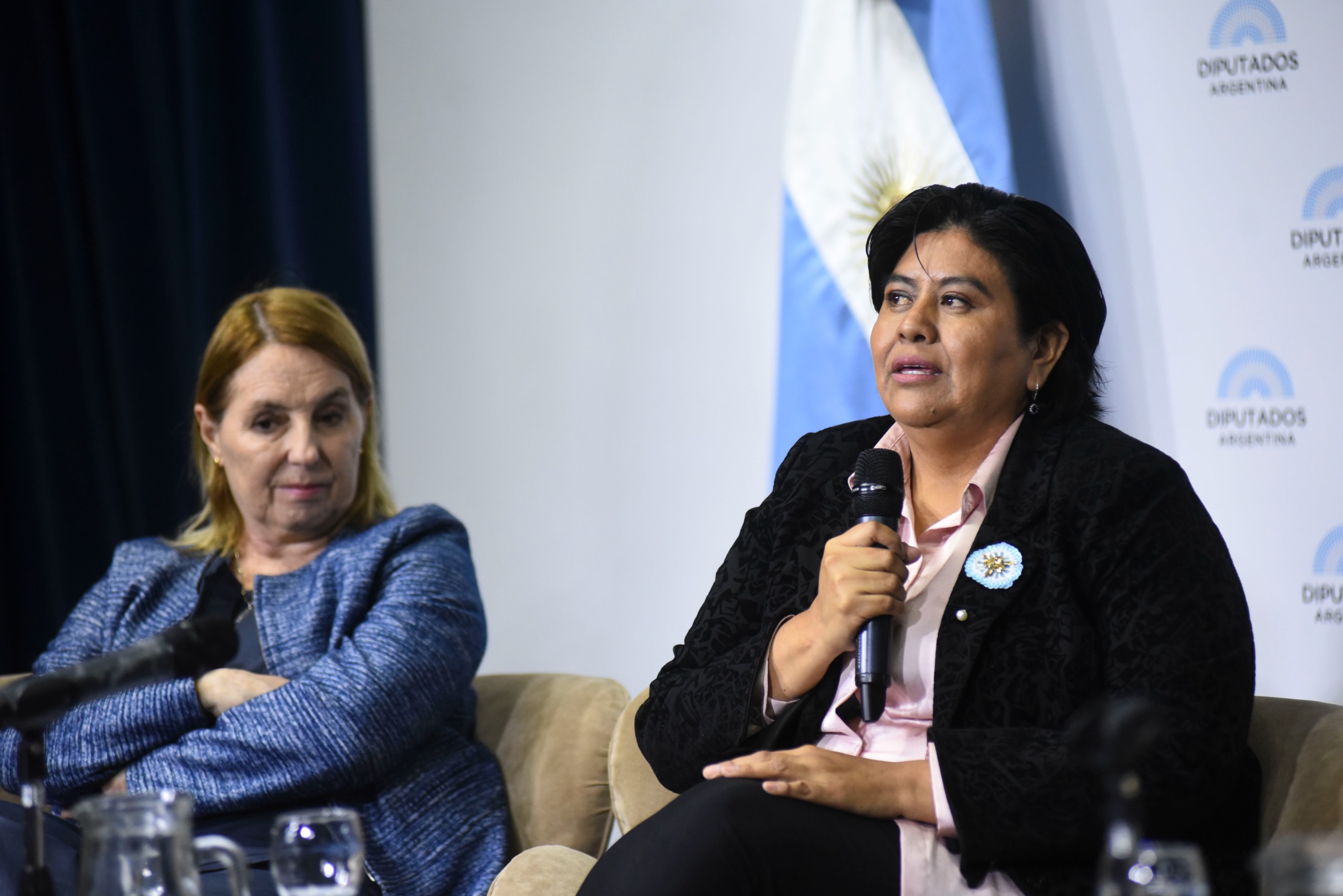 JORNADA INTERNACIONAL EN DIPUTADOS SOBRE EL IMPACTO DEL USO DE LA TECNOLOGÍA EN LA ADOLESCENCIA