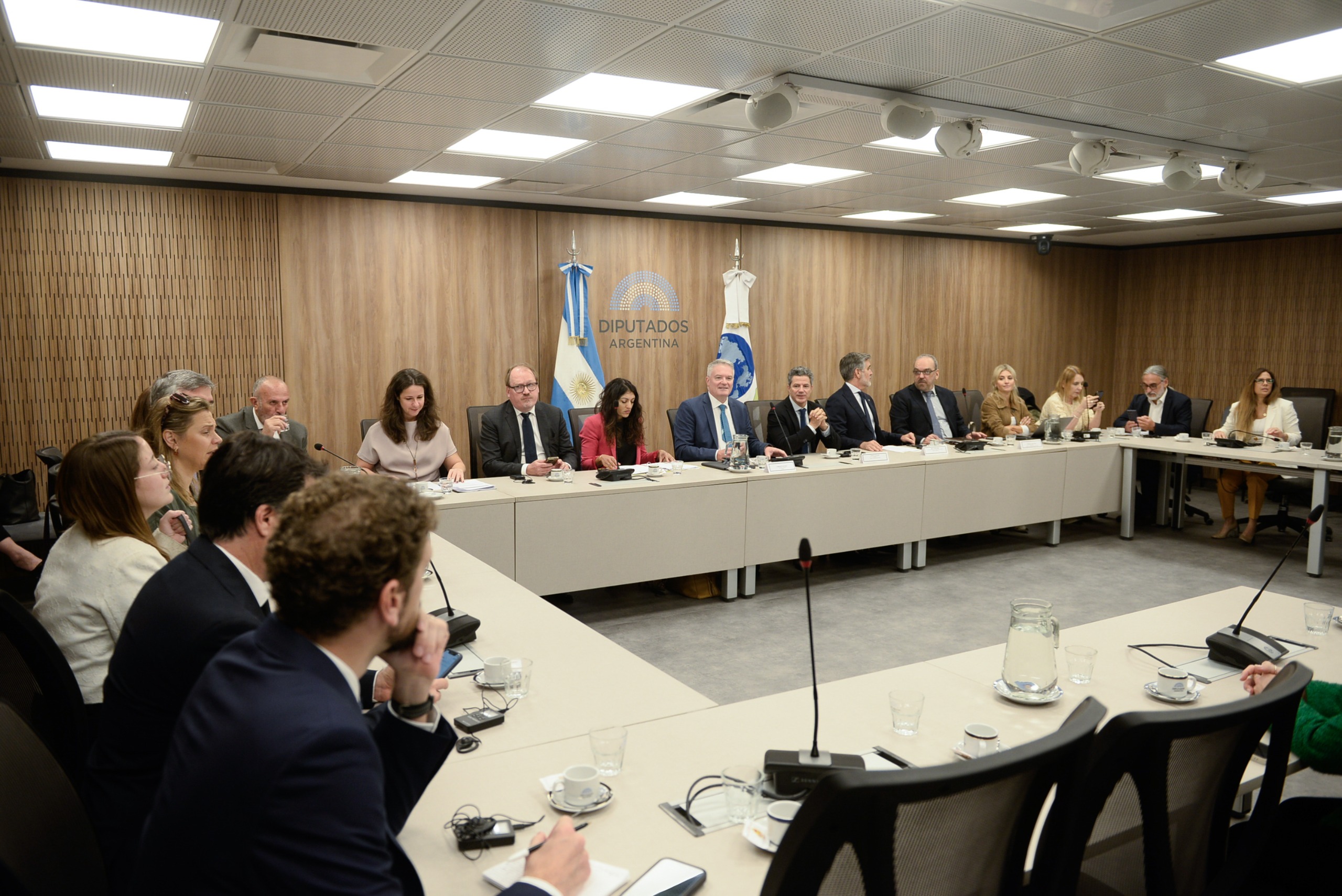 EL SECRETARIO GENERAL DE LA OCDE, MATHIAS CORMANN, SE REUNIÓ CON DIPUTADOS NACIONALES